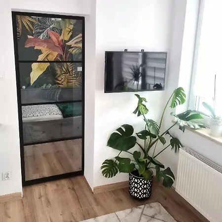 Apartament Sosnowa Puławy Eksteriør bilde