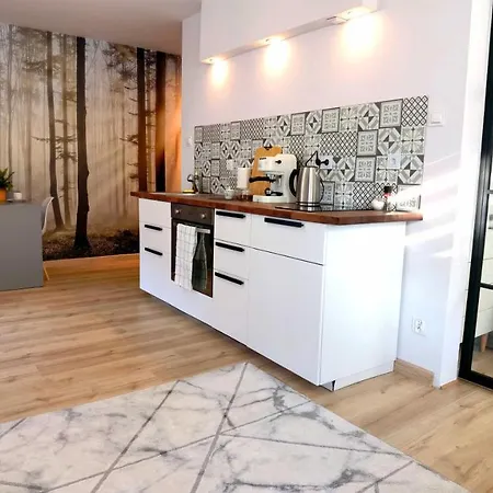 Apartament Sosnowa Puławy Eksteriør bilde