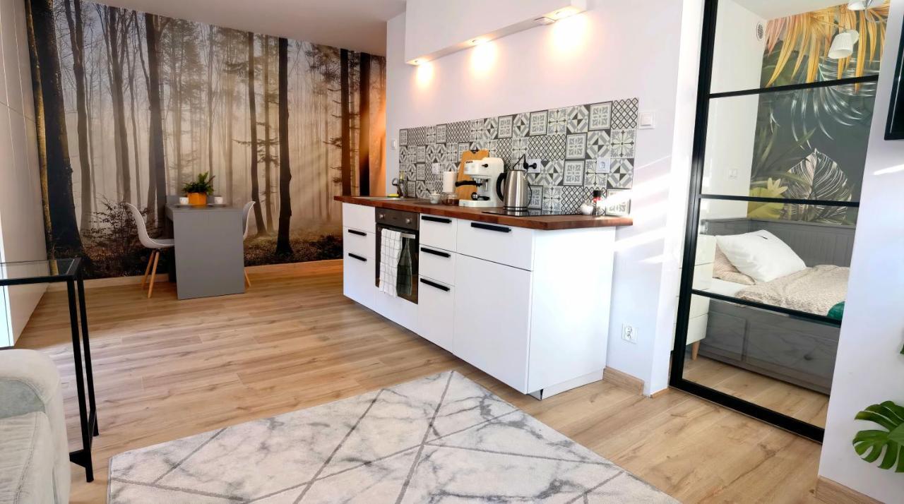 Sosnowa Apartment *